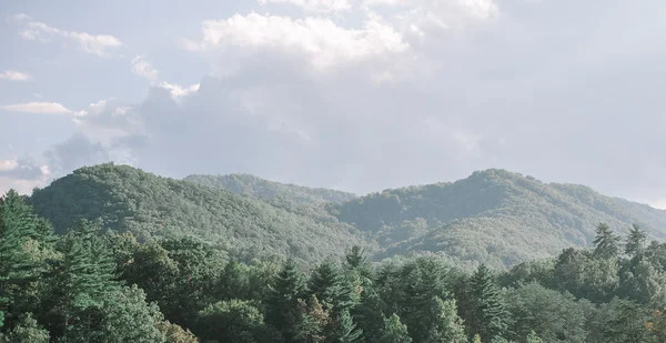 Lush forest and scenic mountain views at Moose Hollow Lodge in Pigeon Forge near the Smoky Mountains